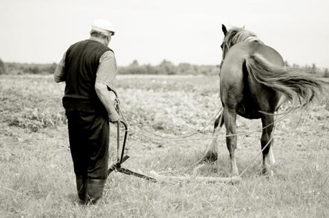 A farmer and his horse