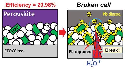 An image showing hydroxyapatite nanoparticles