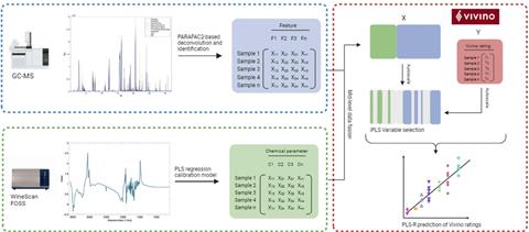 A schematic overview of how mass and infra-red spectral data and Vivino scores are processed
