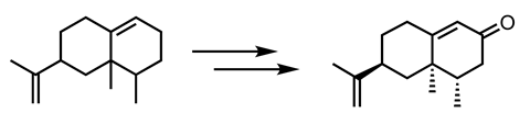 An image showing the valencene to nootkatone transformation