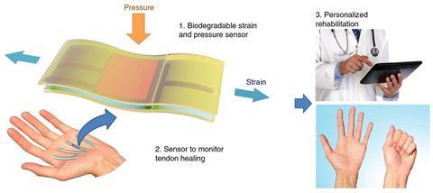 Illustration of the biodegradable and stretchable strain and pressure sensor