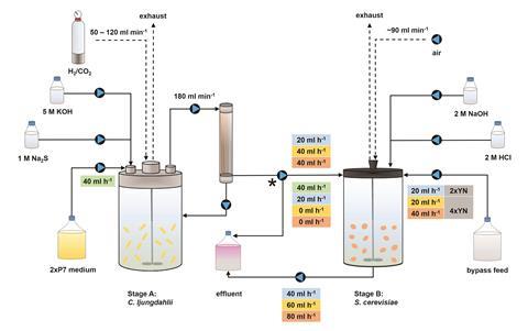 A scheme showing the bioreactors used in the process