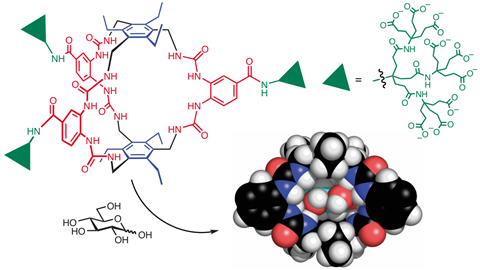 An image of the glucose receptor molecule