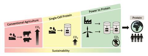 A scheme explaining how humans can change direction from a fossil-based and wasteful economy to a renewable and circular economy 