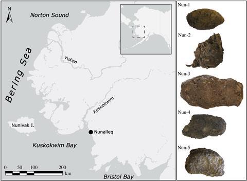 Map showing the location of the Nunalleq site in Alaska and pictures of the palaeofaeces analysed in this study