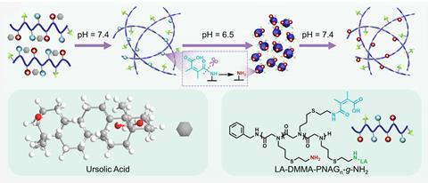 pH-responsive assembly for tumor apoptosis