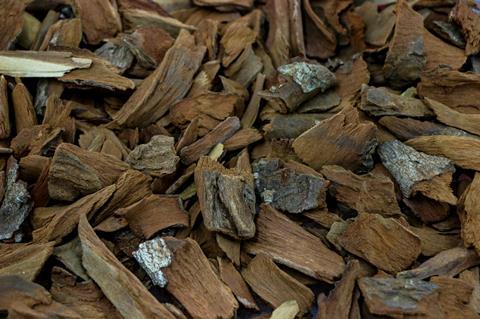 Tree bark used for extracting quinine