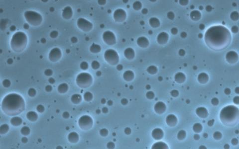 An image showing the formation of peptide–nucleotide membrane-free microcompartments