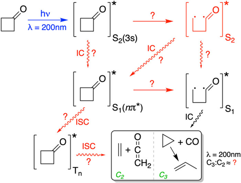 A diagram showing a series of reactions of cyclobutanone