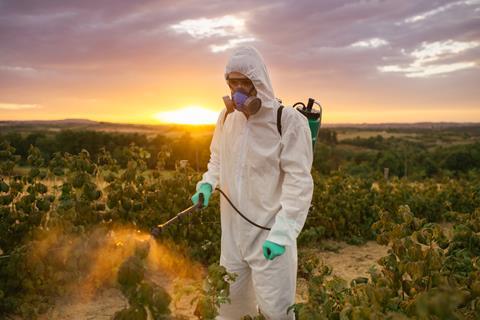 Man spraying toxic pesticides or insecticides 