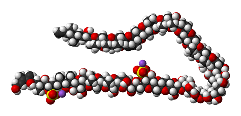 Maitotoxin structure