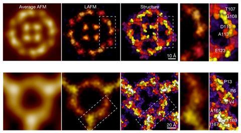 An image showing AFM images