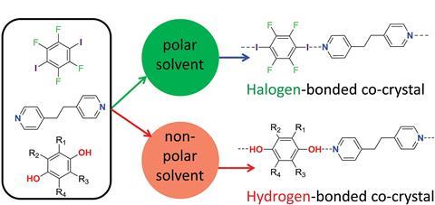 Hydrogen bonding versus. halogen bonding: the solvent decides