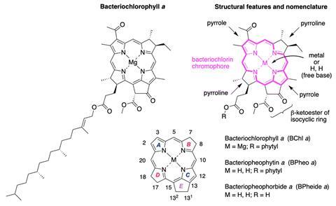 On the left is the chemical structure of bacteriochlorophyll a, showing a bacteriochlorin tetrapyrrole macrocycle with a central Mg²⁺ ion and a zig zag 20 carbon phytol tail. On the right is a schematic showing key structural features and nomenclature