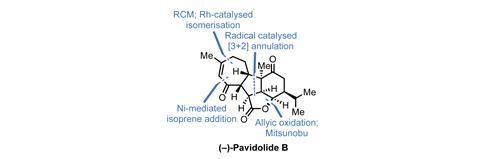 Pavidolide fig1