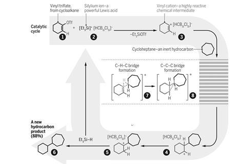 Transforming saturated hydrocarbons