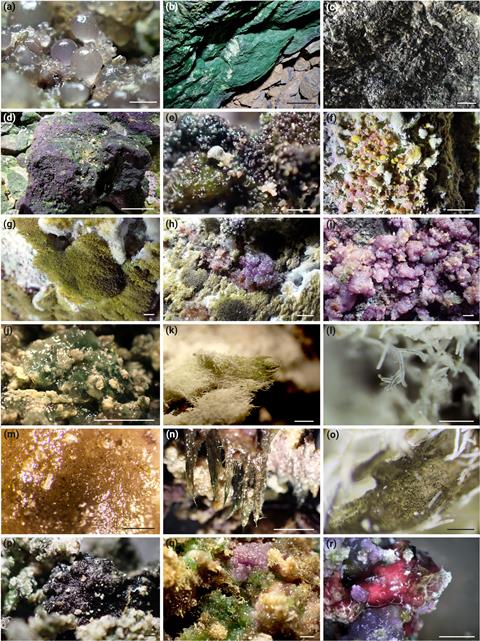 Multipanel image of 18 different cyanobacteria-dominated cave biofilms