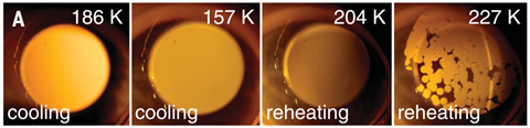 Liquid liquid transition in aqueous solution