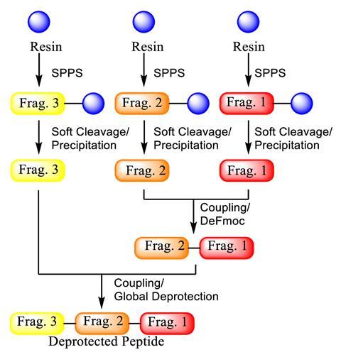 Hybrid SPPS/LPPS depiction using a hypothetical three-fragment system