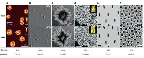 Six pairs of microscopy images. Across the top are real images showing different microscopic structures and across the bottom are their pairs which appear similar but are labelled as fake