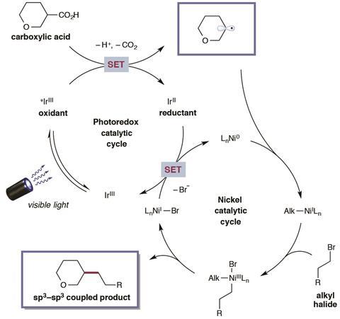 Proposed mechanism for metallaphotoredox-mediated cross-coupling of carboxylic acids