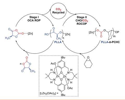 A scheme showing the proposed polymerisation pathway whereby the di-zinc catalyst bridges two catalytic cycles