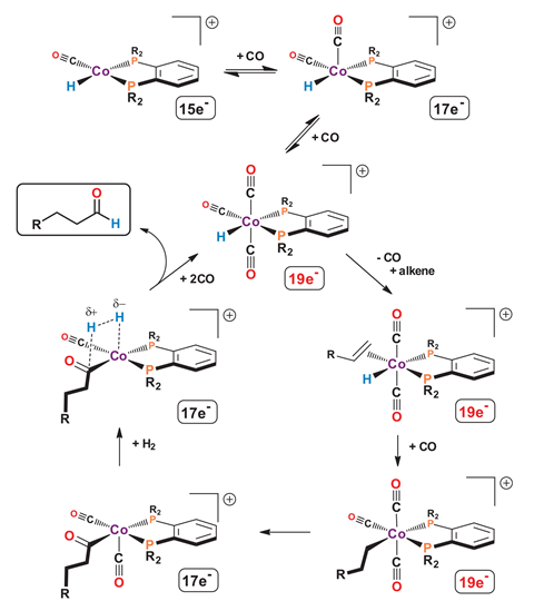 An image showing the proposed hydroformylation mechanism involving 19e− catalyst species