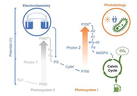 An image showing the photo-electrosynthetic platform