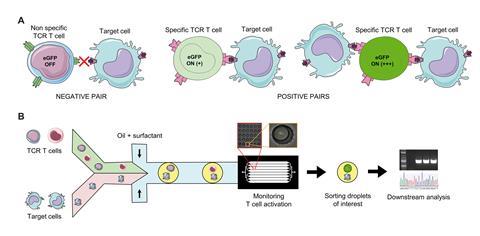 An image showing the droplet based platform