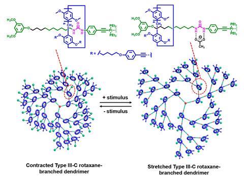 Cartoon representation of the dimensional modulation of Type III-C rotaxane-branched dendrimer upon the addition or removal of external stimuli