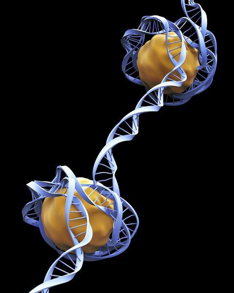 Computer artwork showing how DNA (deoxyribonucleic acid) is packaged within eukaryotic cells. Two DNA strands, consisting of a sugar-phosphate backbone attached to nucleotide bases, twist into a double helix.The DNA double helix is tightly coiled around histone proteins to form nucleosomes (centre, yellow)