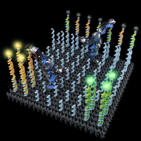 Conceptual illustration of two DNA robots collectively performing a cargo-sorting task on a DNA origami surface