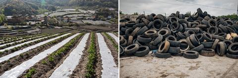 Photo of a field with plastic film mulch covering much of the earth; another photo of a pile of used car tyres