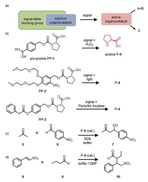 Generic design for a pro catalyst