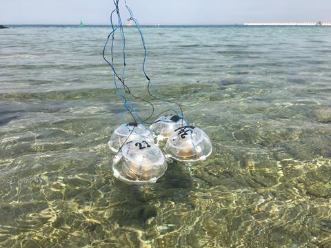 An image showing a field test of the wave-energy-driven CO2RR system