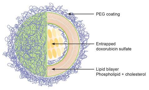 Liposome