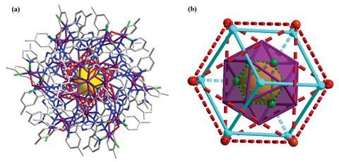 An image showing the cluster