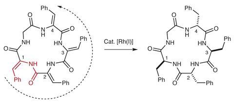 Hydrogenation catalyst generates cyclic peptide stereocentres in sequence Version 2