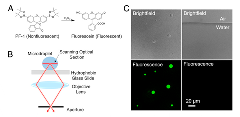 An image showing fluorescence imaging of spontaneous generation of hydrogen peroxide in aqueous microdroplet