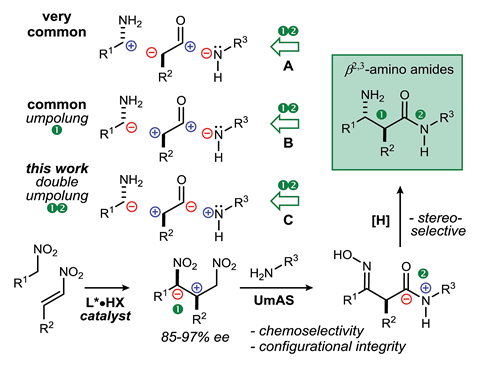 A scheme showing β2,3-Amino amides: retrosynthesis through carbon–carbon bond-forming approaches