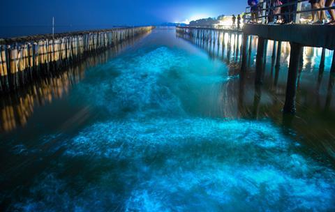 Bioluminescence in night blue sea water, Bangkok Thailand