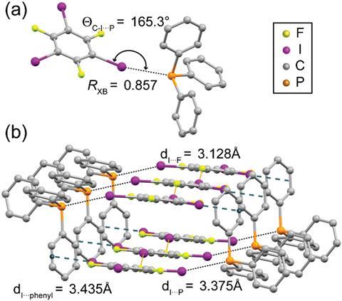 Halogen bond geometry in cocrystal 1