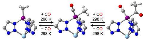 A molecular pathway adding oxygen to a complex organic molecule