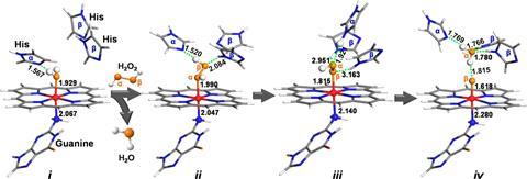 QM models of the self-assembled active site