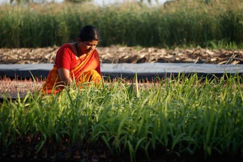 Woman in field