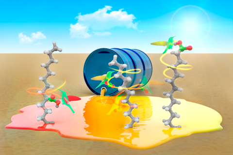 A conceptual image of a chemical spill with humming birds eating from fatty acid molecules