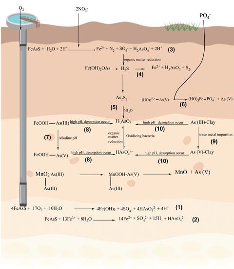 A complicated network of chemical reactions at various levels underground that feed into a water well. Elements involved include arsenic, iron, manganese and oxygen. Conditions include alkaline pH, oxidising bacteria, trace metal impurities and high pH.