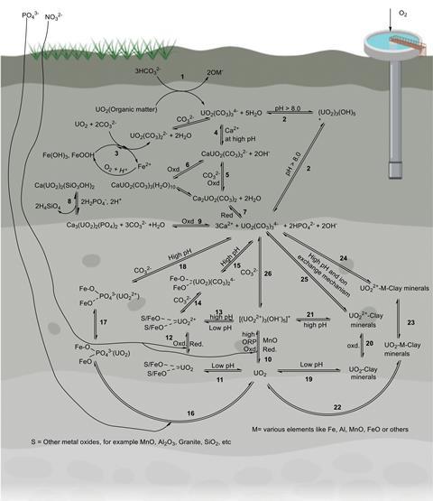 A complicated network cycle of chemicals at various levels underground feeding into a water well. They include uranium, iron, hydroxide, calcium and carbonate