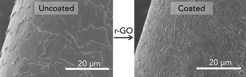 SEM images showing the surfaces of uncoated and coated hair (0.25 wt %).