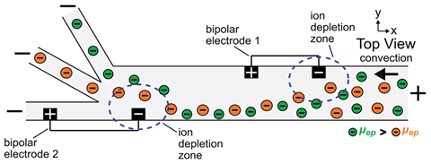 An image showing electric field gradients formed by electrochemical processes at bipolar electrodes